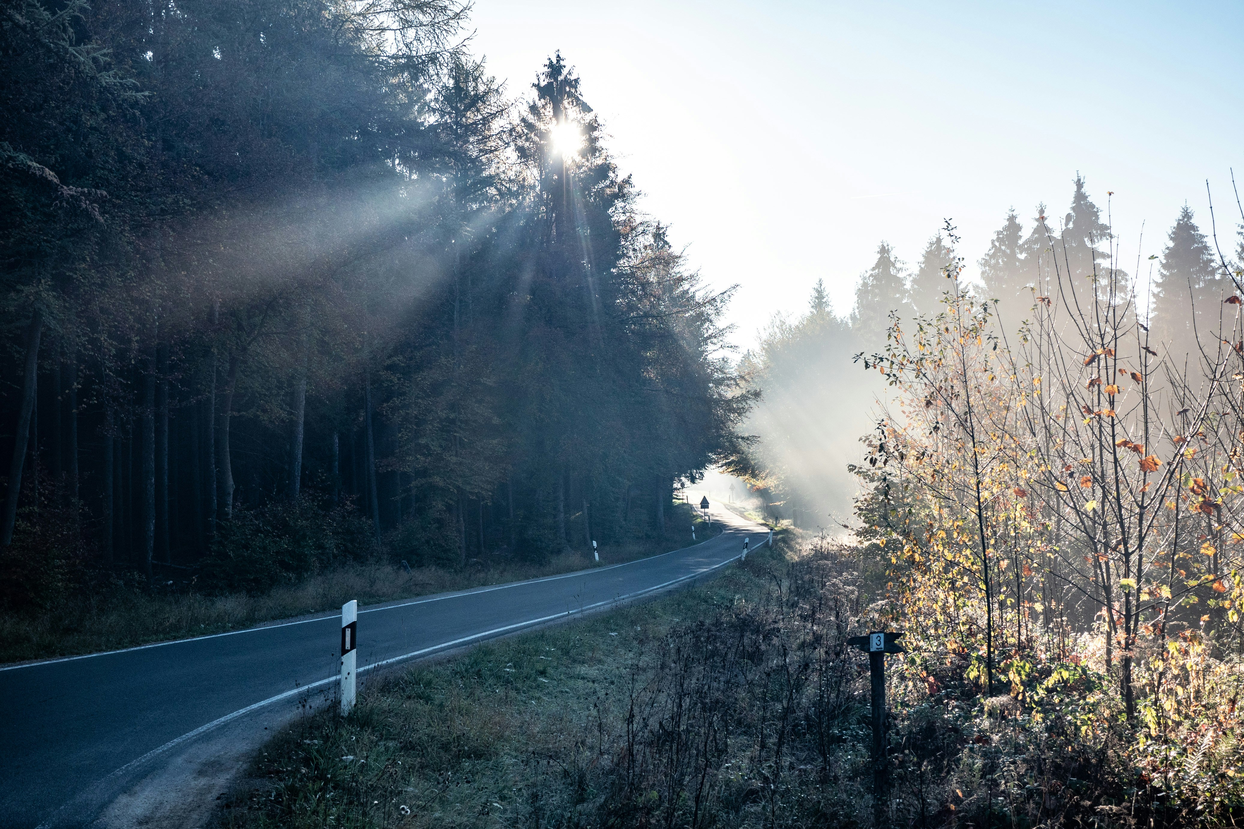 Black Forest Scenic High Road Drive scenic driving route in Germany