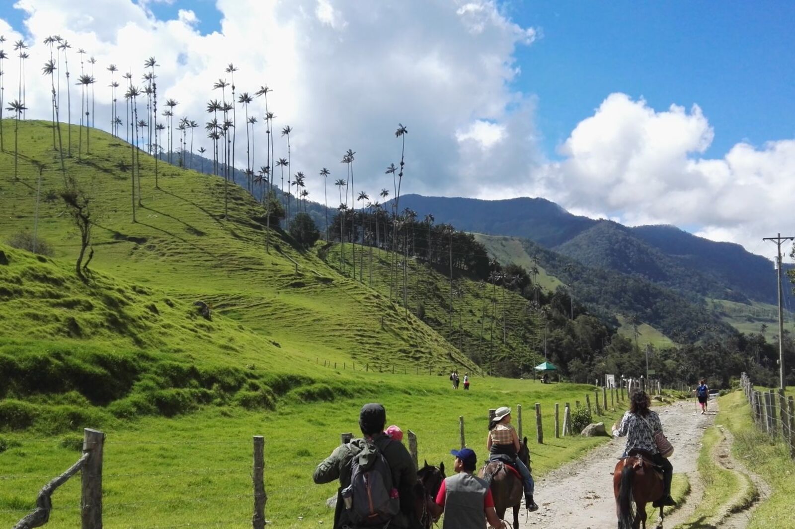 Colombian Coffee Region Scenic Drive scenic driving route in Colombia