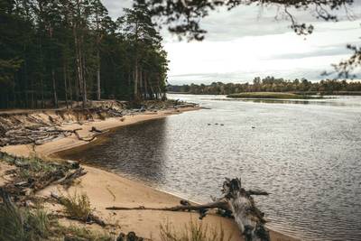 Gauja Valley Scenic Nature Drive