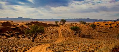 Namib Desert Dune Scenic Drive