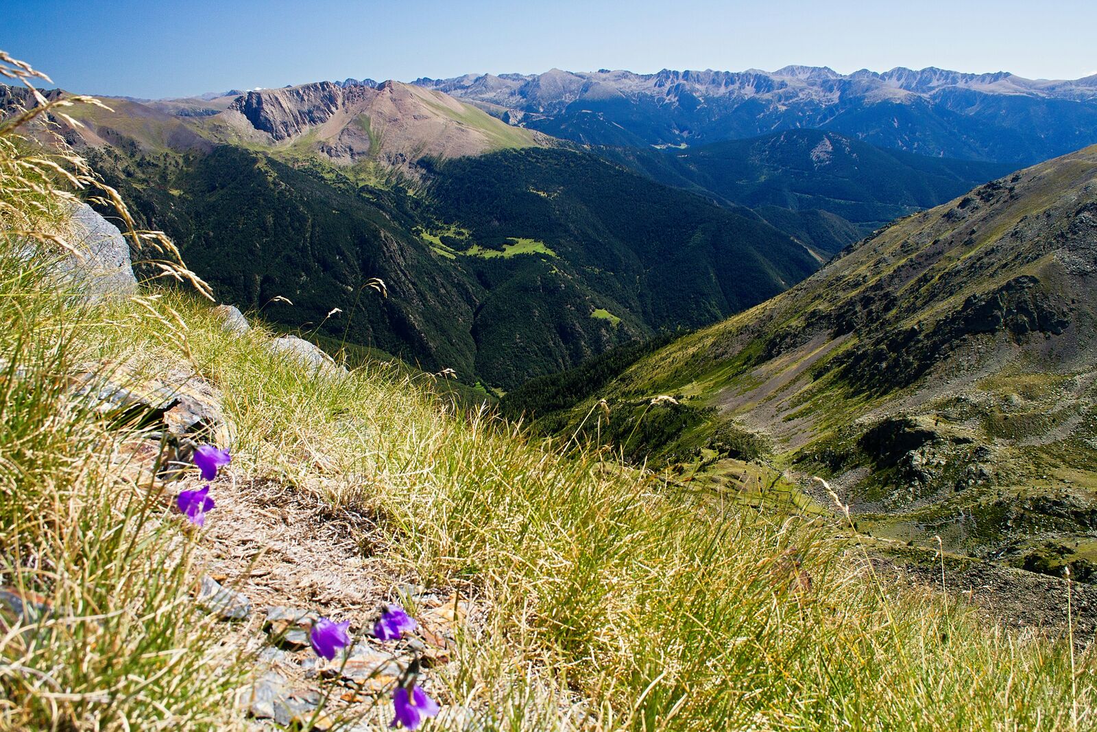 Pyrenees Alpine Scenic Drive scenic driving route in Spain