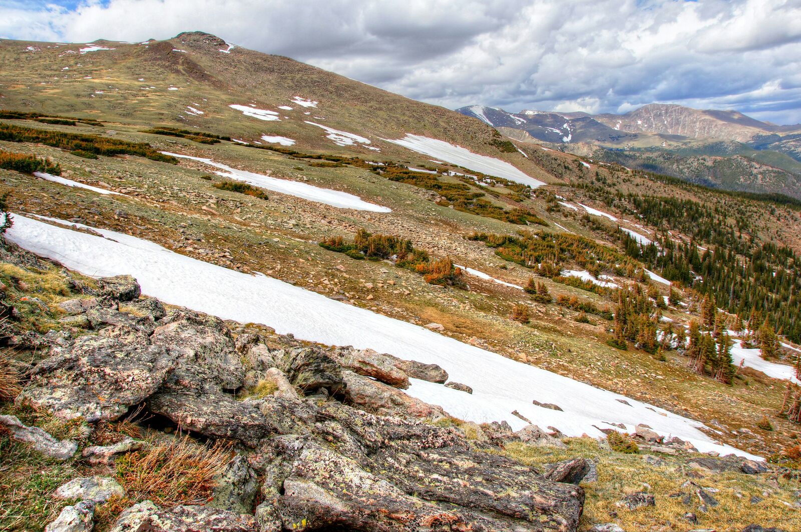 Trail Ridge Road High Alpine Scenic Drive scenic driving route in USA