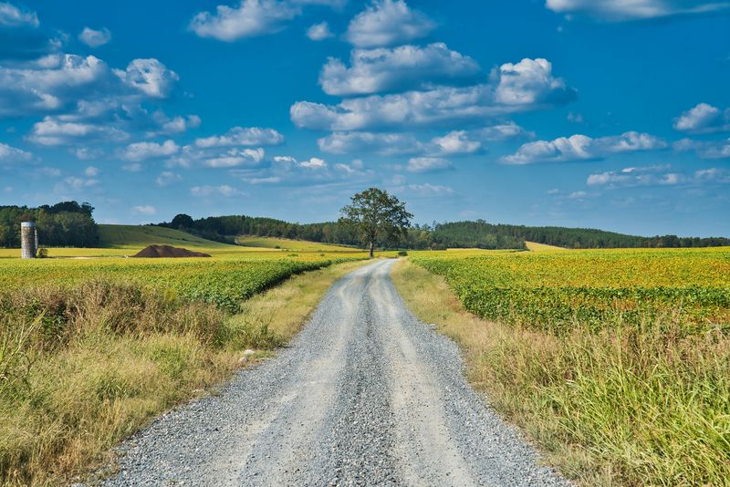 Countryside Roads